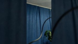 ДЛЯ ВЛАДИВОСТОКА!!!!!!!!!!!!!!!!!!!!!!!