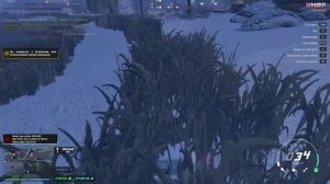 ВОЛКИ + БАКШ