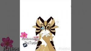 Мы с Тамрой...