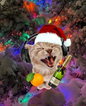 стрим! 🔴 обзор конфеток и проба