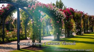 ＂Тайник с помойки＂. Очень интересный рассказ. История потрясла всех.