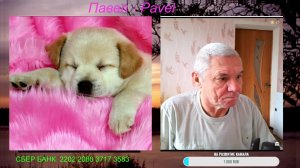 Чат Рулетка 31.12.25 г