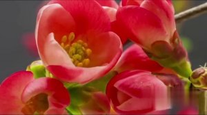 Ты – теплое объятие, к которому обращается каждый человек. ❤️❤️