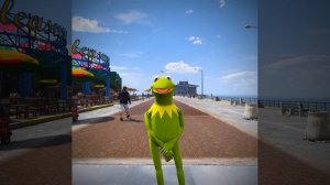 лягушка поёт 2