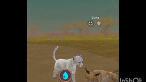 Мини фильм Wildcraft "Не такая как все" 6 серия