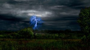 Новый Год. А я вспоминаю осеннее тепло