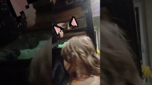 с новым годом