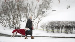 Тишковец: более трети месячной нормы осадков выпадет в Москве 8 января