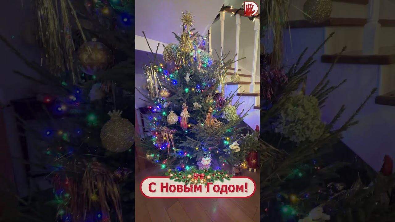 От команды «ЦВЕТУЩЕЙ ПЛАНЕТЫ» - С Новым Годом! смотреть онлайн