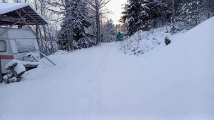 С наступающим новым годом!)) 🌲🌲🌲