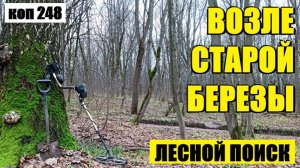 ТЕПЕРЬ ПОНЯТНО ПОЧЕМУ ОНА КРУГАМИ БЕГАЛА! коп 248