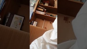 VID_20251231_152905.mp4