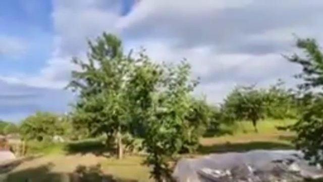 СОБРАЛ САМОДЕЛЬНЫЙ ТРАКТОР И ПРИШЛА ПОРА ОКУЧИВАТЬ ОГОРОД