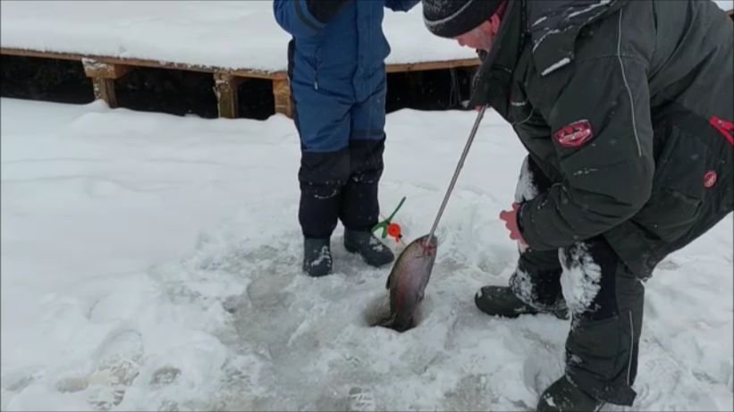 Предновогодние поимки форели. Клёвое место, Лосиный остров, нижний водоём. смотреть онлайн