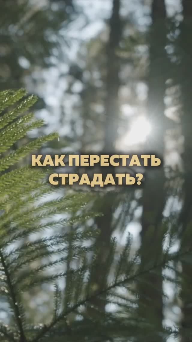 КАК ПЕРЕСТАТЬ СТРАДАТЬ? #пробуждение #осознанность смотреть онлайн