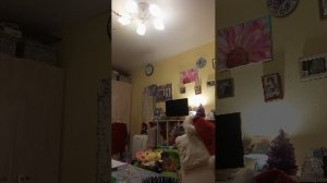 с новым годом