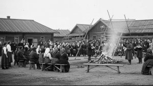 Ёлка — ЭТО НЕ ДЕКОР. Нам врали про семейный праздник