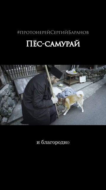 Пёс-самурай смотреть онлайн