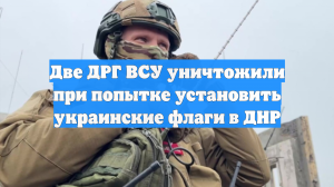 Над Красноармейском, Димитровым и Родинским сбиты семь БПЛА с флагами Украины