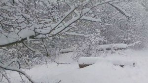 Симферополе (31 декабря 2025)