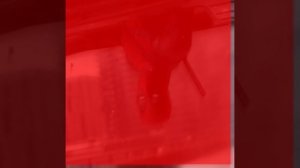 эдит с дэдпулом