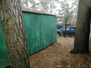 🎄НОВОГОДНЯЯ ТРАНСЛЯЦИЯ!!!🎄