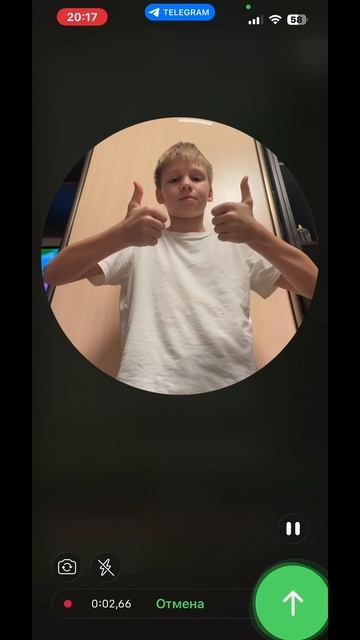 Новый год в Telegram