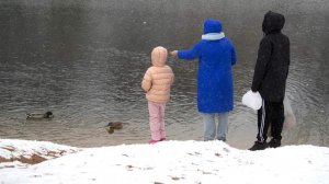 В Госдуме рассказали о новых выплатах для семей с 1 января