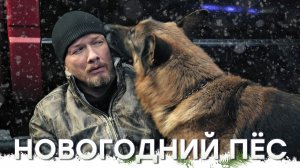 «Новогодний Пёс»  — 31 декабря в 17:20 на НТВ