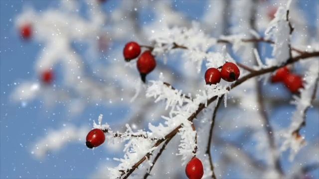 5 января - День который все изменит. Какие возможности откроют звезды_ смотреть онлайн