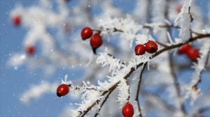 5 января - День который все изменит. Какие возможности откроют звезды_