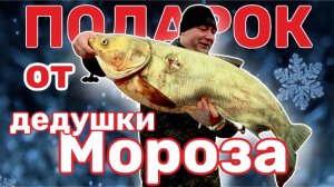 Глубина,прозрачность,улов-триумф подводной охоты уходящего года!