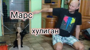 Ждём москвичей❤️/Кубань завалило СНЕГОМ/Прислали ПОДАРОК 💰котам🐈⬛/МАРС играет на камеру/Домашний