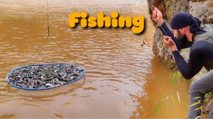 Необычный метод лова / Самая простая рыбалка / Много рыбы за 10 минут