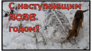 Охота на зайца 31.12.2025. Один зайчик остался в 2025 году, другой убежал встречать 2026 год!