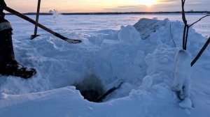 Проверка удочек. 28 день.