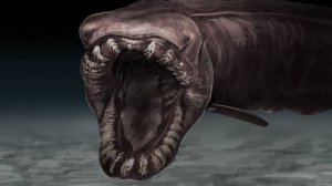 Почему Акулы Становятся Страшнее, Чем Глубже Ты Погружаешься