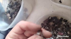 Две посылки