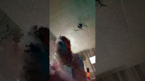 С новым годом