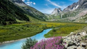 История жизни (Suno AI)