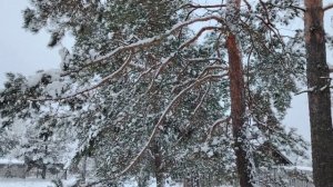 Зима в глубинке республики Марий Эл