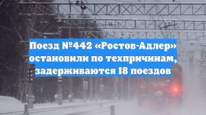 Пассажирский поезд Ростов — Адлер остановили на Кубани по техническим причинам