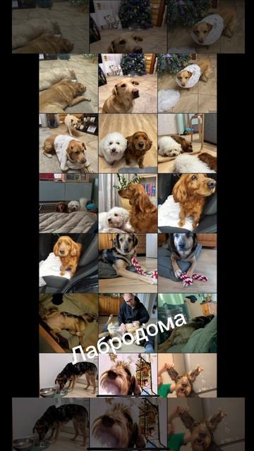 VID_20251231_192639_713