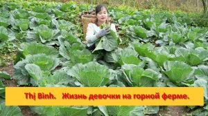 Thị Bình. Вьетнам.  Жизнь девочки на горной ферме  мирная и чудесная.