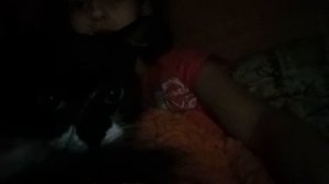 моя жизнь с кошкой в шкафу!🤙🏻🤙🏻🤙🏻