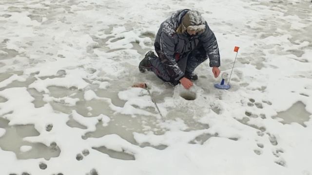 -6858407528868151888 смотреть онлайн