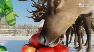РОБЛОКС И БАБУШКА! НОВЫЙ ГОД НА НОСУ!