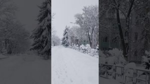 Лабинск 31.12.2025