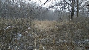 А снег идёт