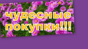 СУПЕР НОВИНКИ С ВАЙЛДБЕРРИЗ!!! ШИКАРНЫЕ ПОКУПКИ!!!! И ПОДАРОЧКИ!!!